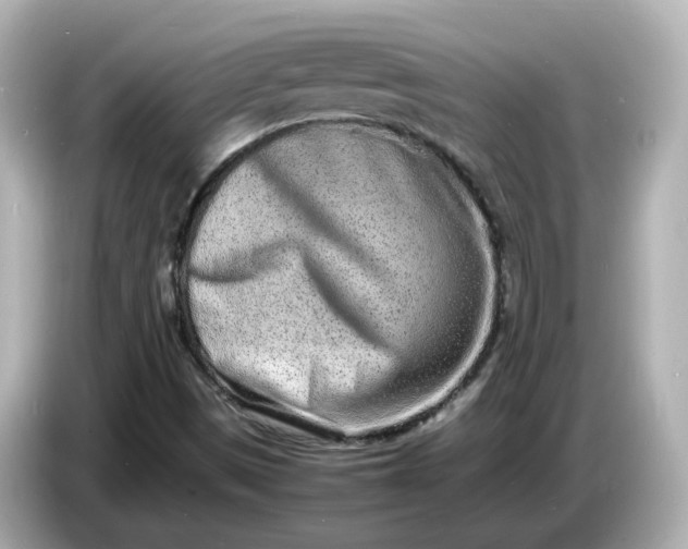 X0000086911497200704301026