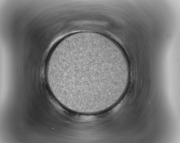 X0000086911498200704301026