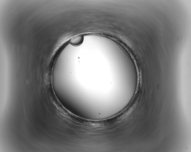 X0000086911501200704301026