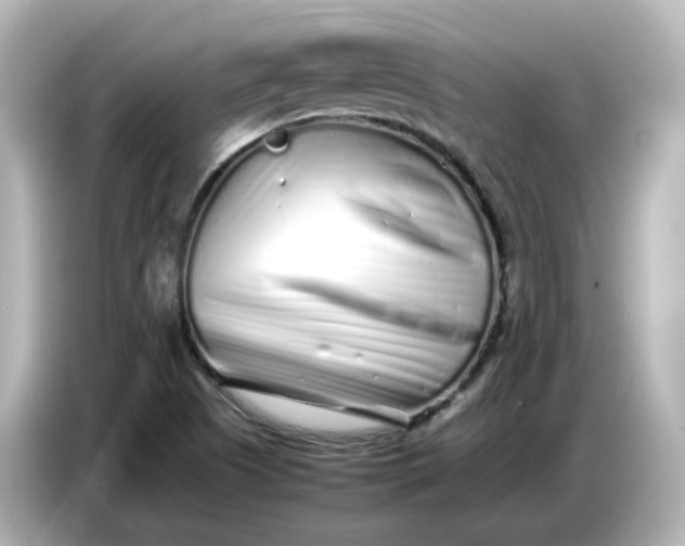 X0000086911505200704301026