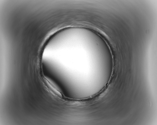 X0000086911506200704301026