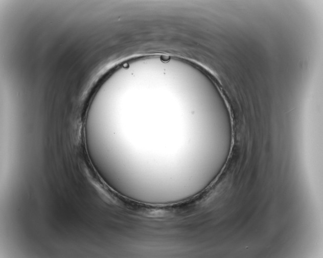 X0000086911507200704301026