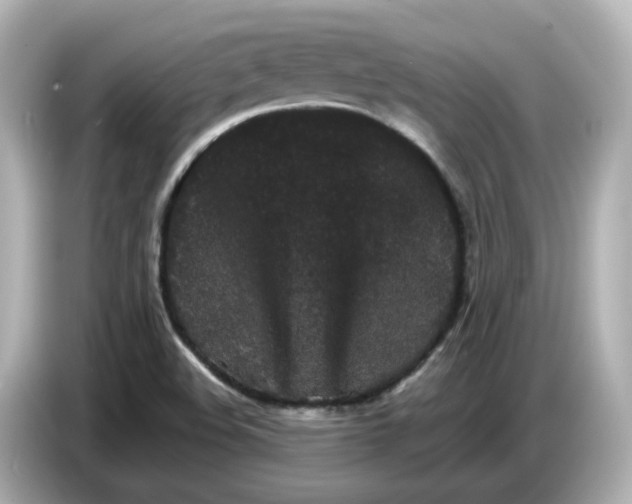 X0000086911508200704301026