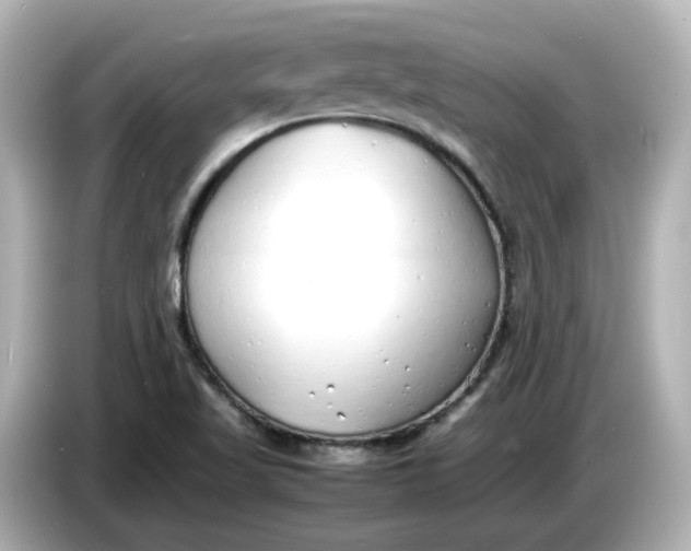 X0000086911509200704301026