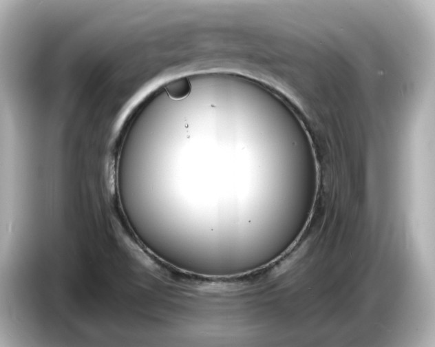 X0000086911510200704301027