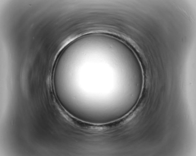 X0000086911513200704301027