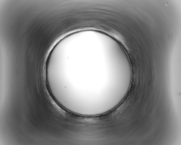 X0000086911516200704301027