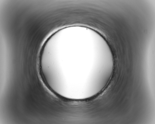 X0000086911518200704301027