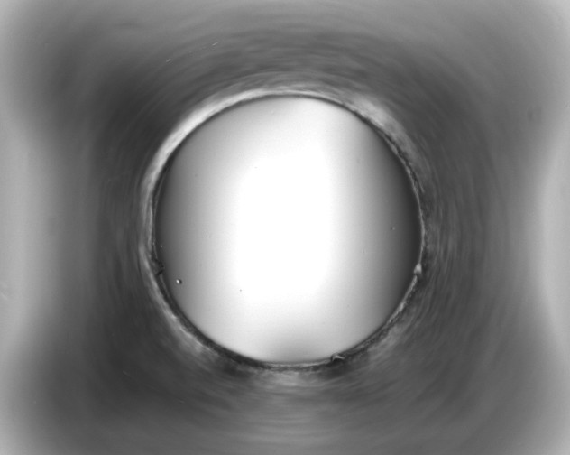 X0000086911520200704301027