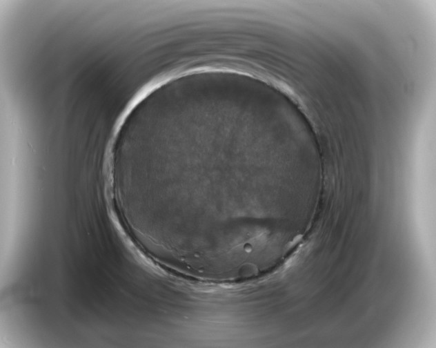 X0000086911522200704301027