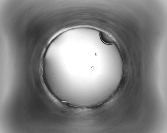 X0000086911526200704301027