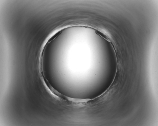 X0000086911528200704301027