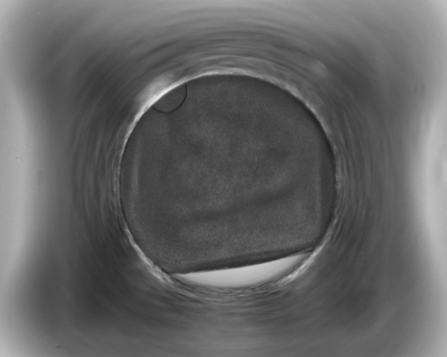 X0000086911529200704301027