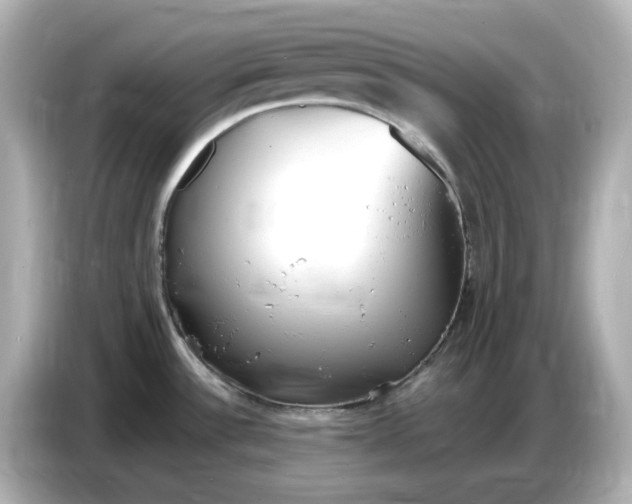 X0000086911532200704301027