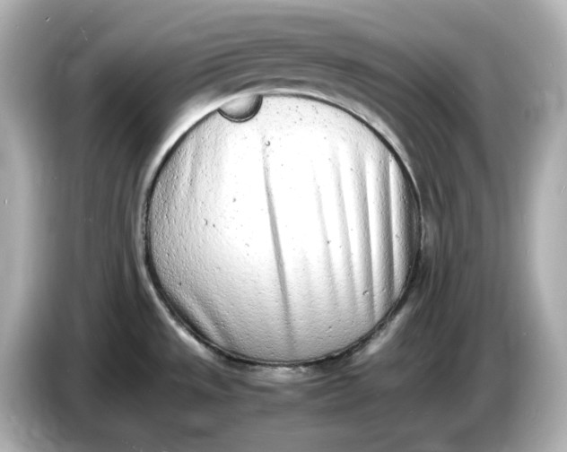 X0000086911533200704301027