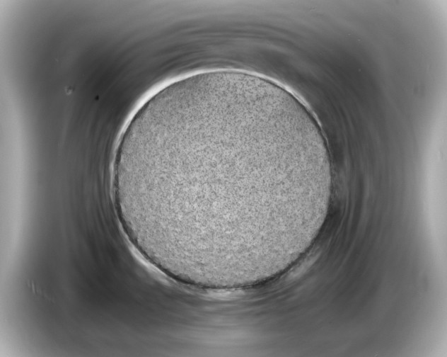 X0000086911535200704301027