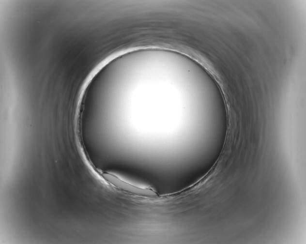 X0000086911536200704301027