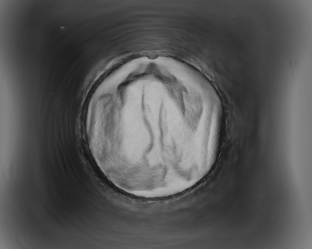 X0000086910002200705071313