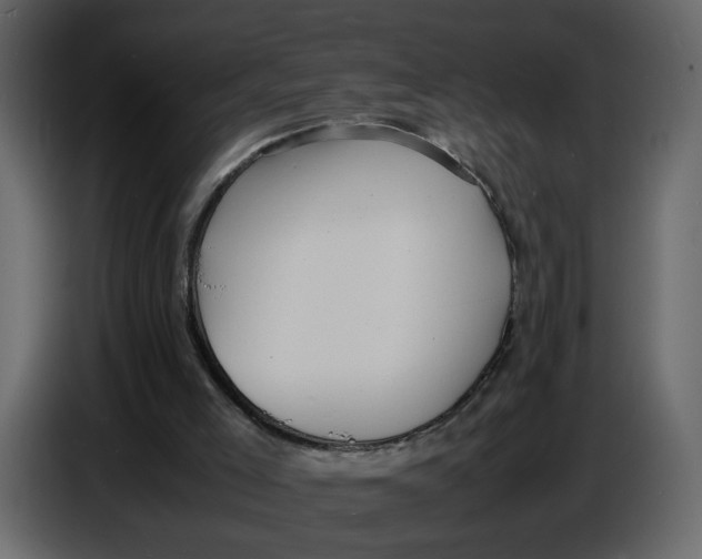 X0000086910005200705071313