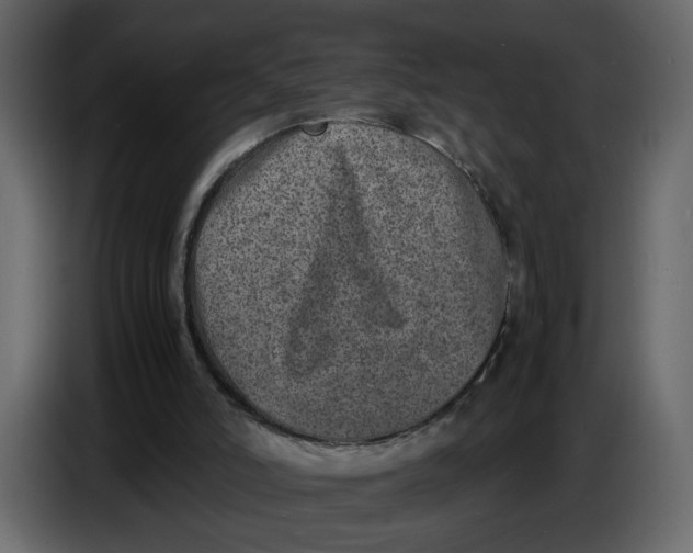 X0000086910006200705071313