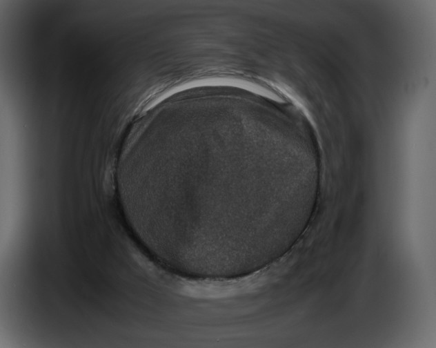 X0000086910009200705071313