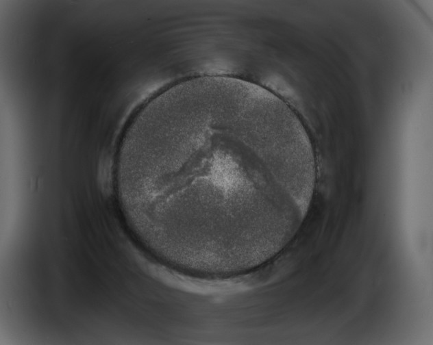 X0000086910012200705071313