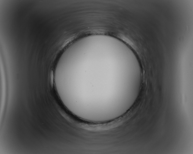 X0000086910013200705071313