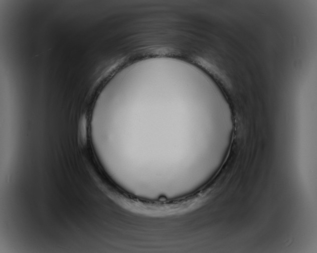 X0000086910014200705071313