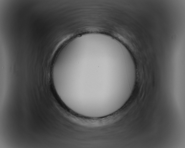 X0000086910015200705071313