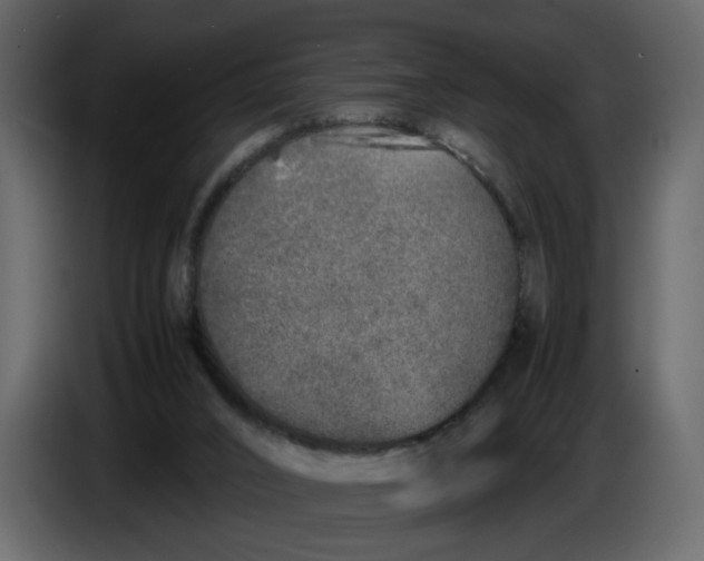 X0000086910016200705071313