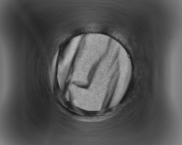 X0000086910017200705071313