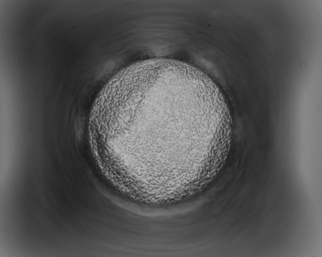 X0000086910018200705071313