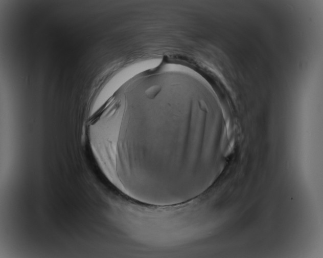 X0000086910019200705071313