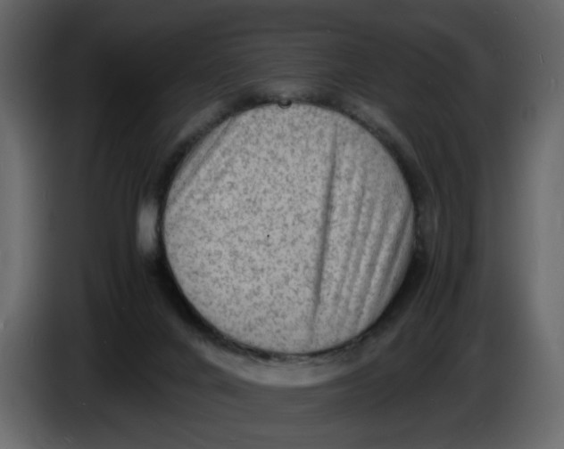 X0000086910024200705071313