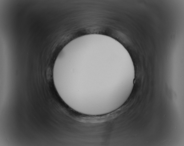 X0000086910025200705071313