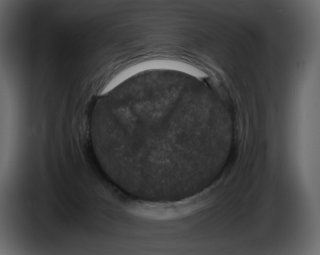 X0000086910029200705071313