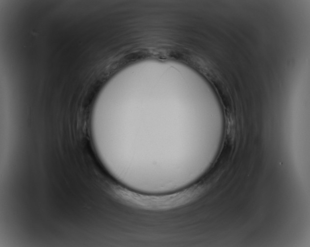 X0000086910030200705071313