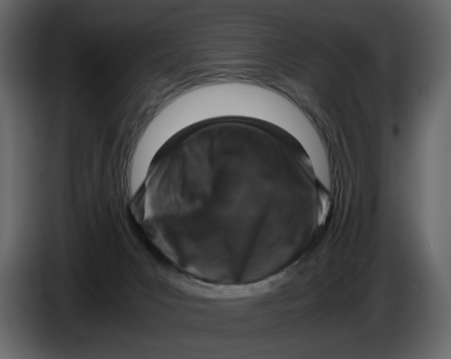 X0000086910031200705071313