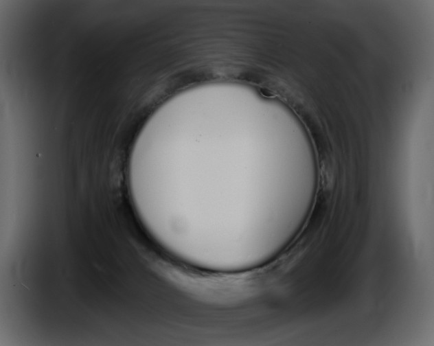 X0000086910032200705071313