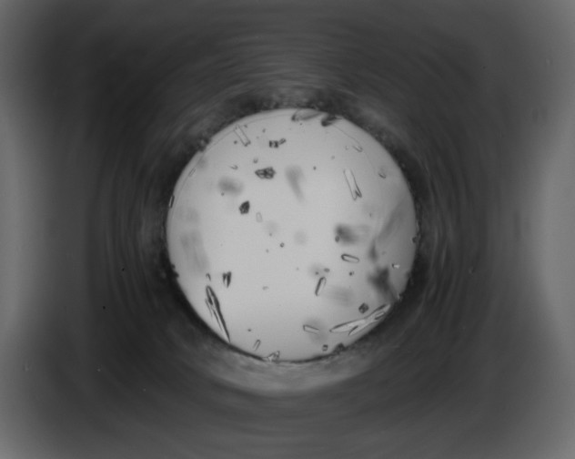 X0000086910034200705071313