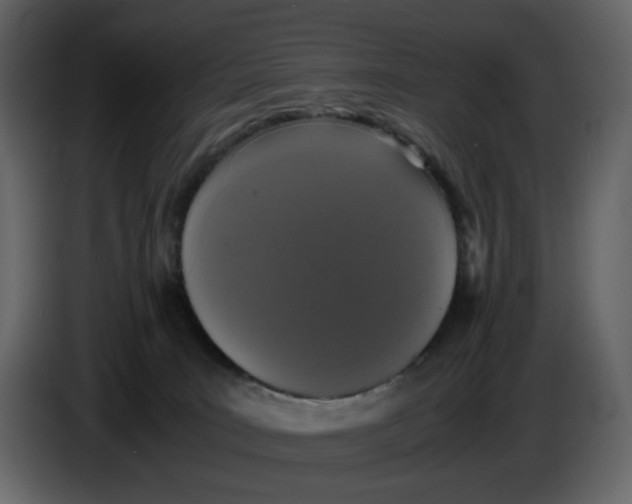 X0000086910035200705071313