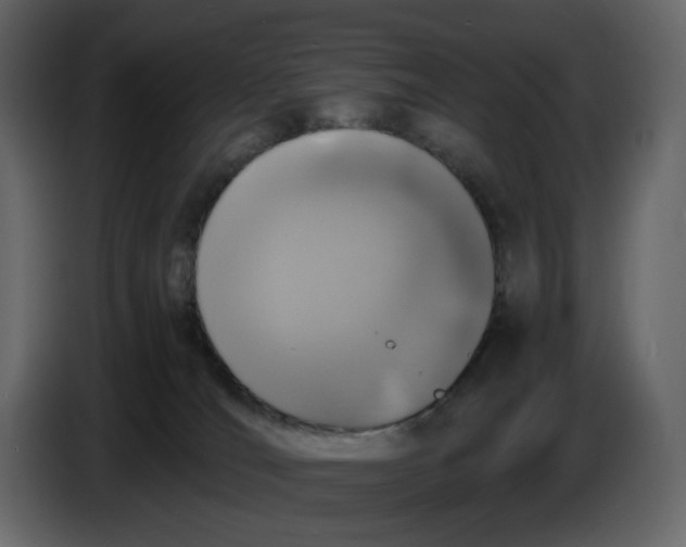 X0000086910036200705071313