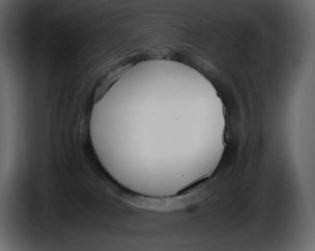 X0000086910037200705071313