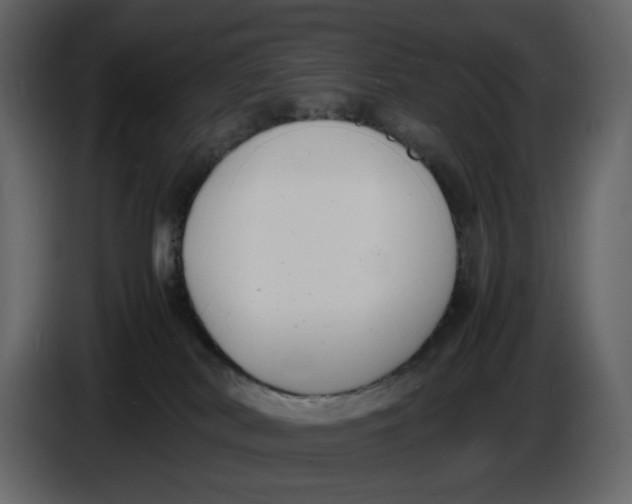 X0000086910038200705071313