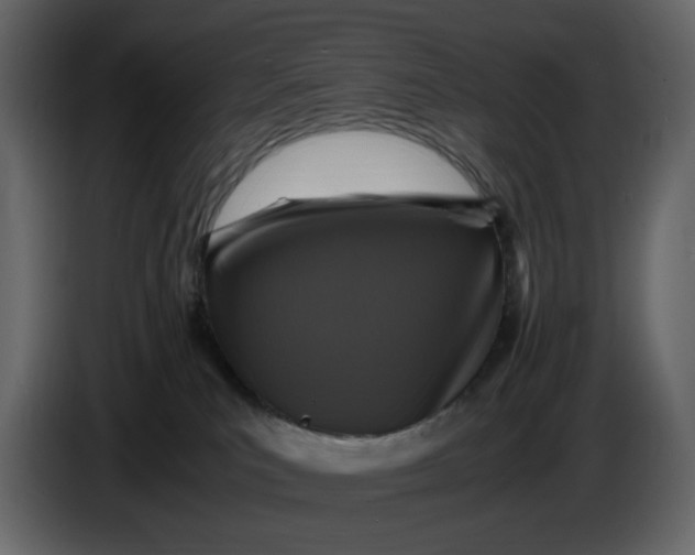 X0000086910039200705071313