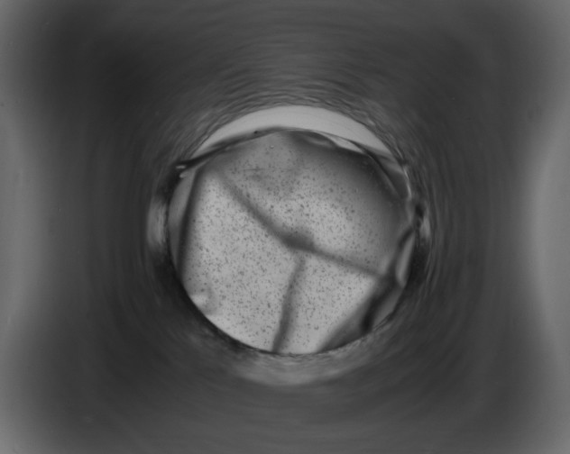 X0000086910041200705071313