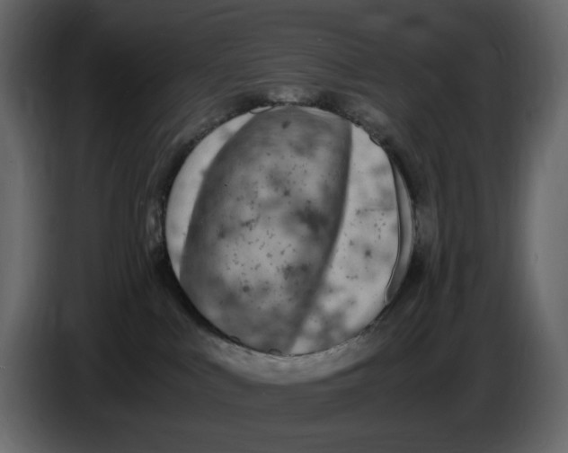 X0000086910043200705071313