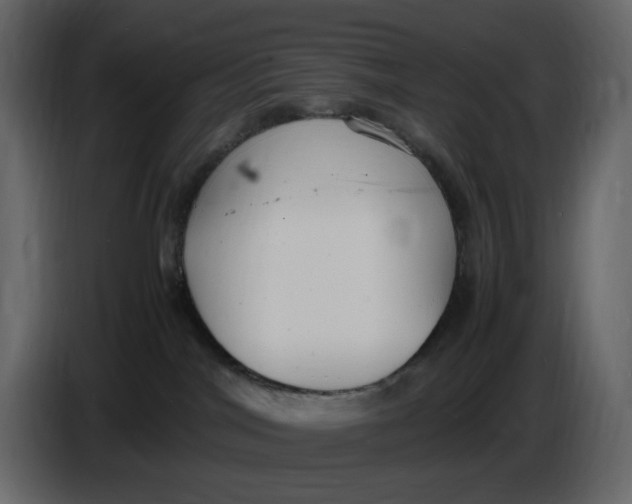 X0000086910044200705071312