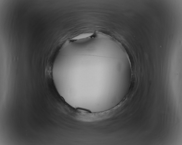 X0000086910045200705071312