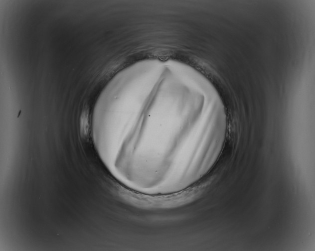 X0000086910046200705071312